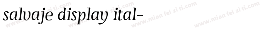salvaje display ital字体转换